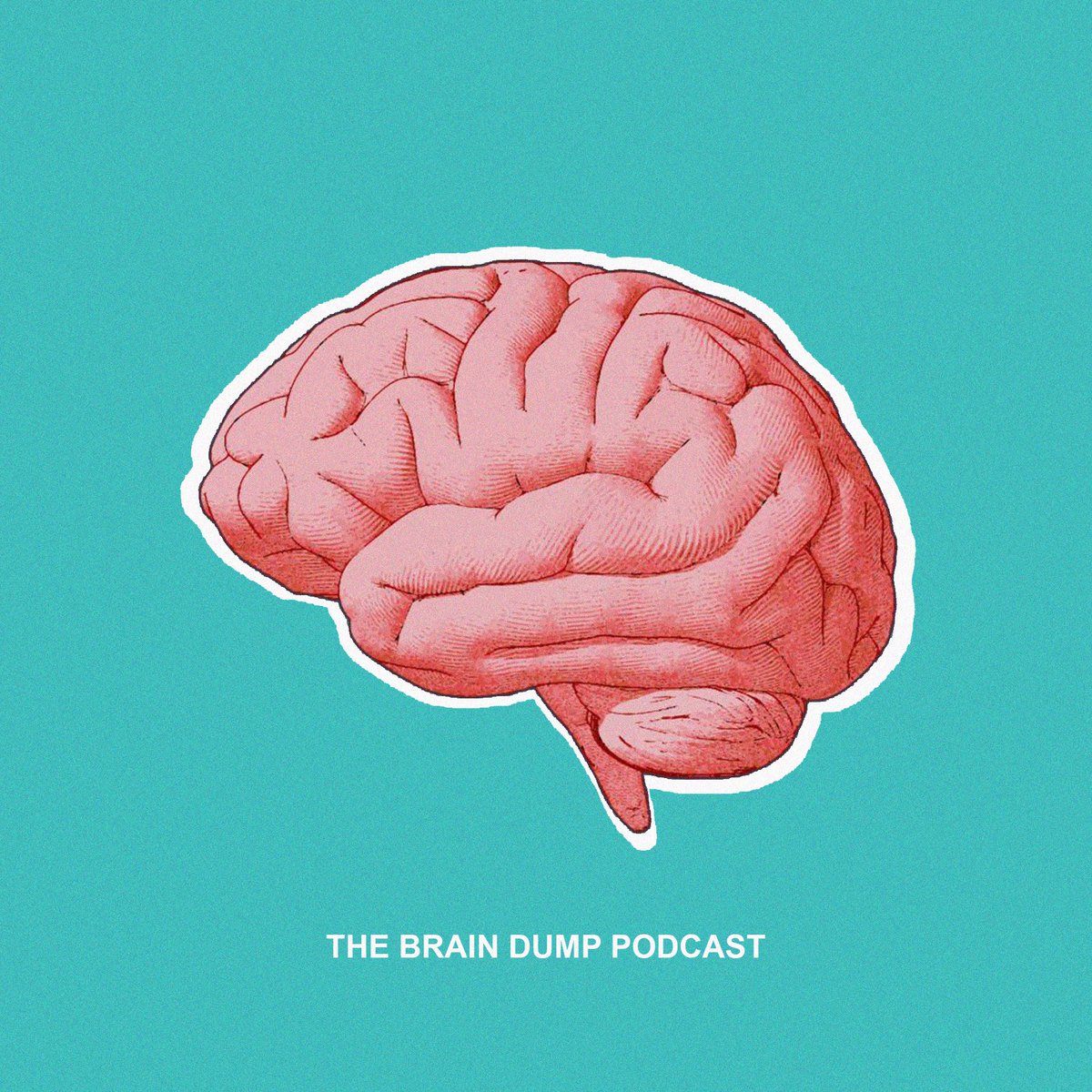 braindumpodcast's tweet image. I also recommend listening to all the podcasts on 1.5x speed. 

I listen to all my podcasts/audio books on either 1.5x or 1.75x.

Gets you through the episode quicker and allows you to digest even more content in less time. 

A 6 hour long audio book becomes a 3 hour long one.