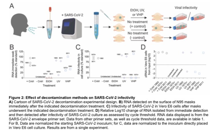 Рнк cov 2. РНК SARS-cov-2 обнаружена что это. Основные лабораторные методы выявления РНК SARS-cov-2. Анализ РНК SARS cov2. Выявление РНК SARS-cov-2 проводится в.