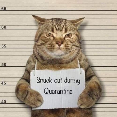 SMSPete's tweet photo. #smscompass My cousin Butch sent me this recent picture he had taken. He’s both tall AND wreck less! https://t.co/CtJnXbokUB