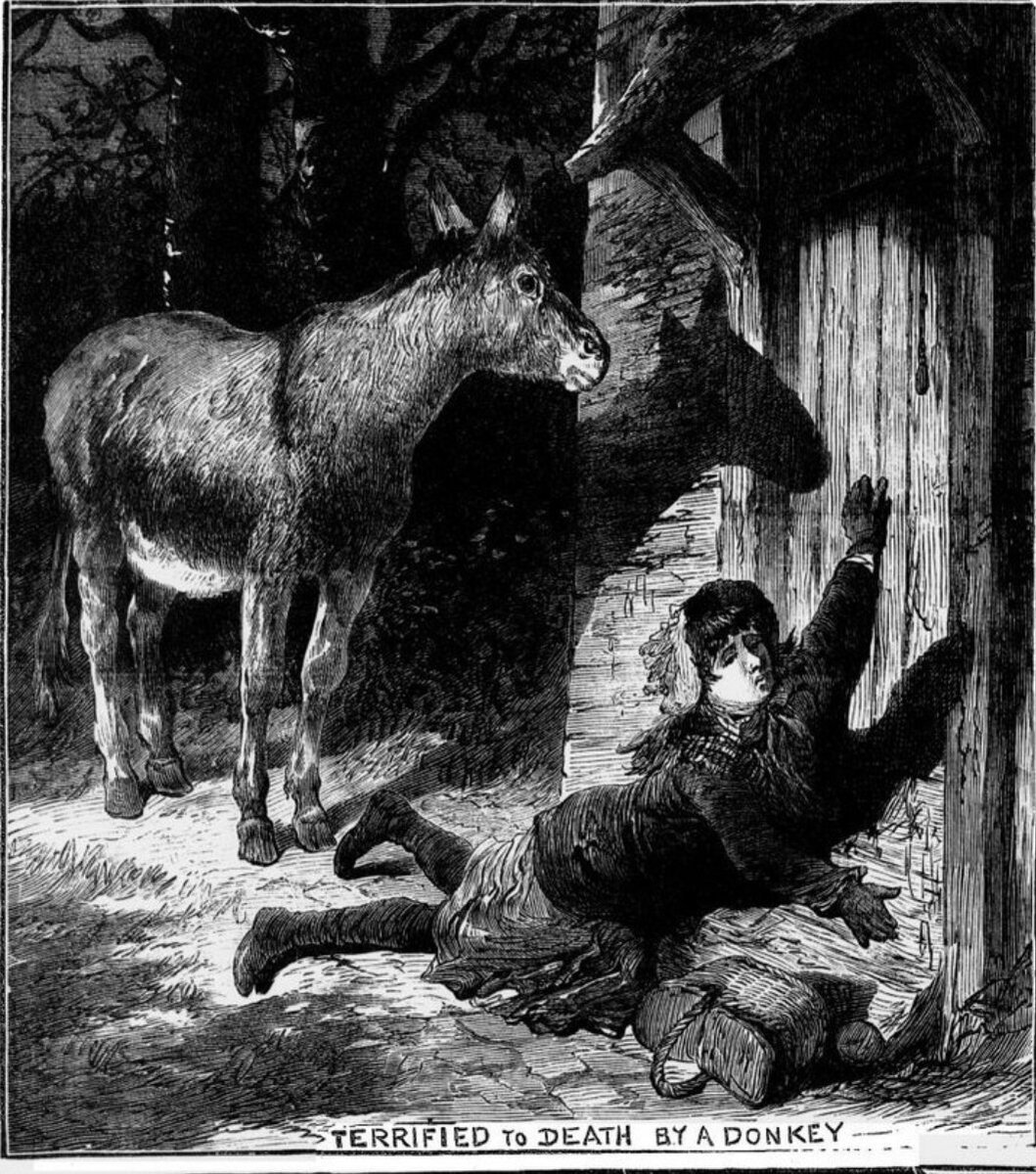 No 8: death by donkey. Silly old ass...