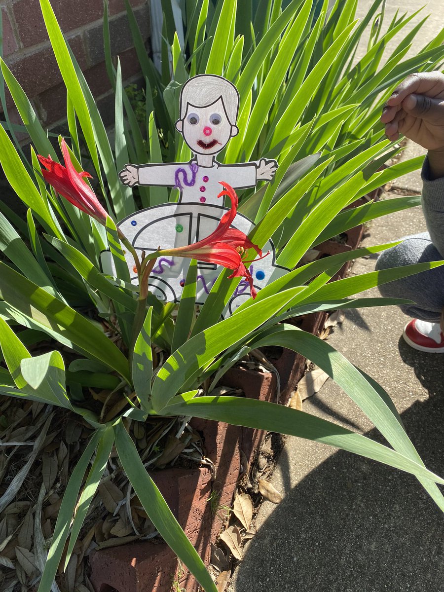 samanthamhodges's tweet photo. Mr. Josè Solstice is playing hide and seek with me. #mrsolstice @MrSolstice @ALZDallasNETX #thelongestday https://t.co/EdALD78fmx