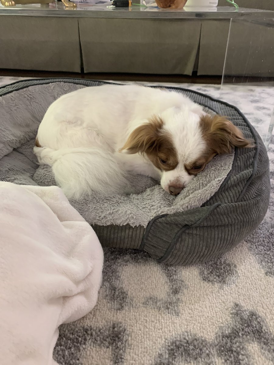 As you can see Charlie is using his lunch break for a nap.