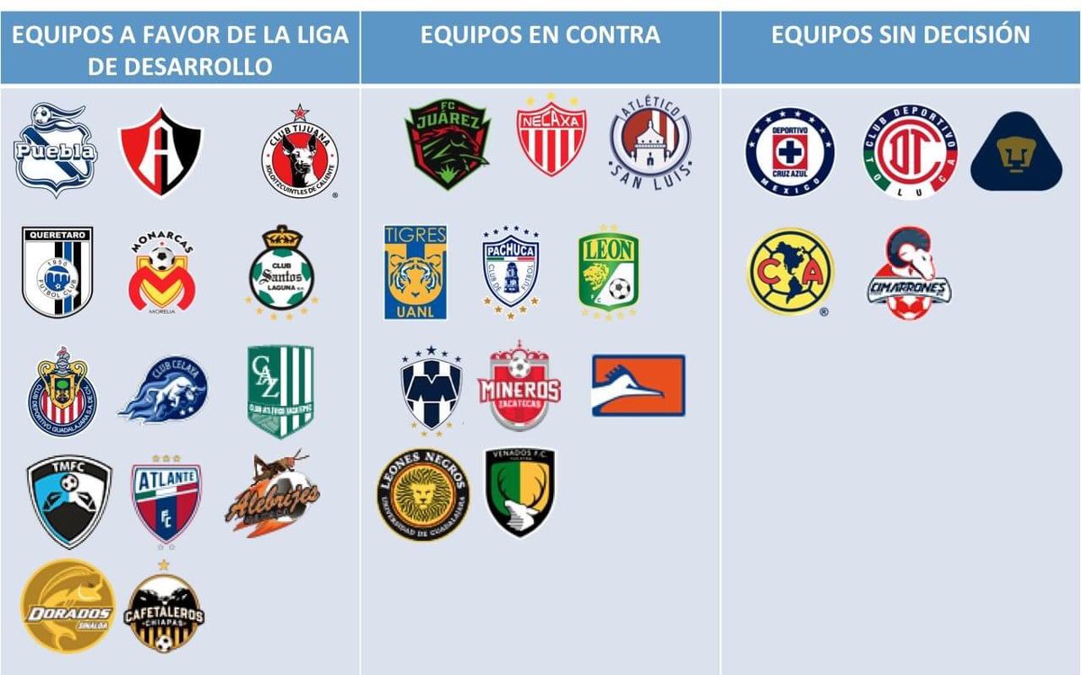 El descenso fue eliminado y así fueron las votaciones para la nueva liga de desarrollo...

Vía - History fútbol 📄