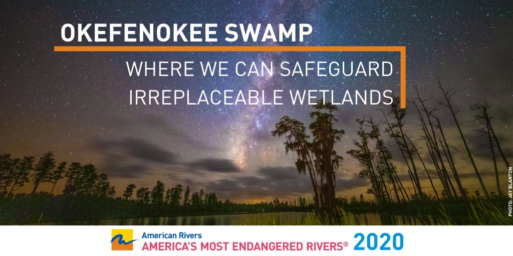Okefenokee Swamp is an irreplaceable wetland system. It’s home to:
🐊Alligators
🌿Carnivorous plants
🐦An abundance of bird species 
🐻The Florida black bear. 
Together, we can protect it for generations: bit.ly/2Xk133f #MostEndangeredRivers