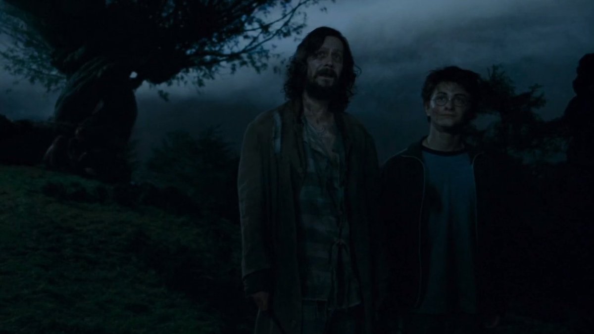 кодер on Twitter: "Гермиона: Снейп сказал Дамблдору, что на такое ...