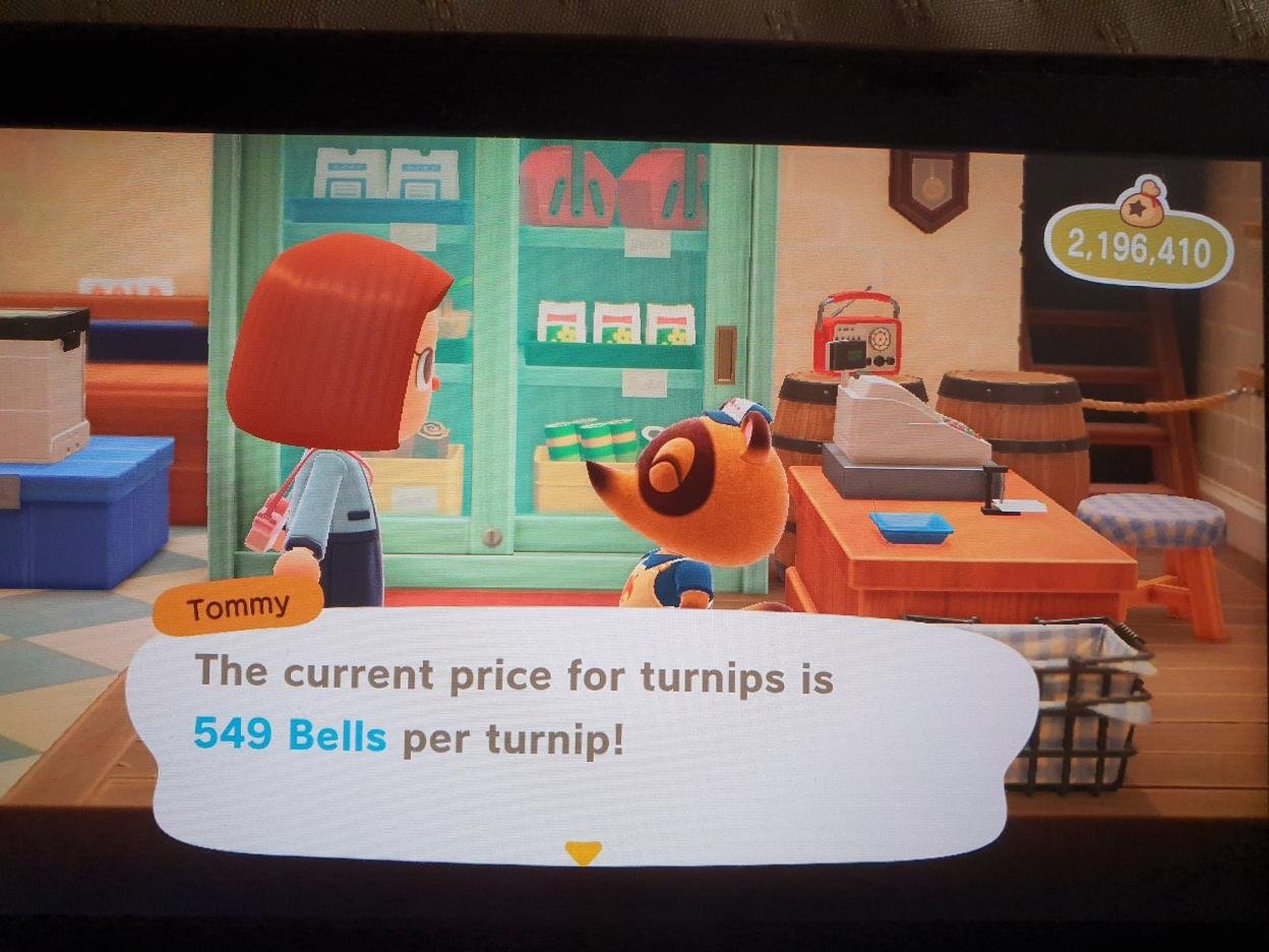animal crossing discord turnips