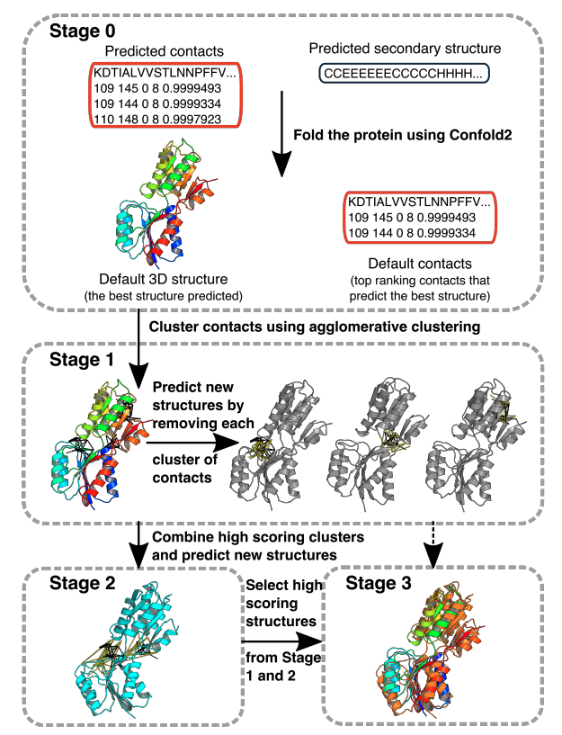Computed residue-residue contacts can predict multiple conformations of a protein. 

By @feng_jf8 @ShuklaGroup

biorxiv.org/content/10.110…