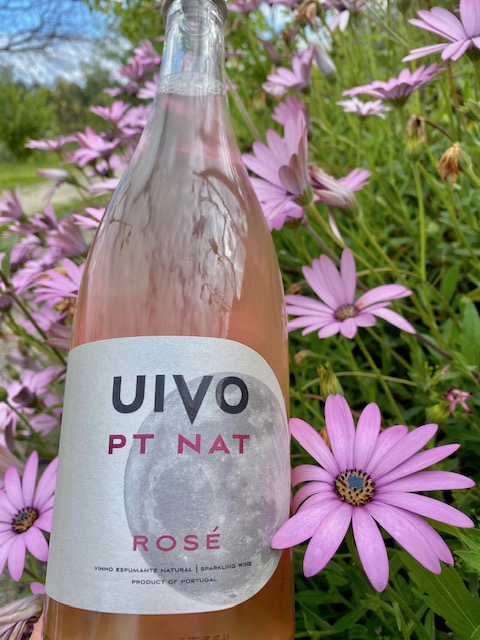 savioselections's tweet photo. Folias de Baco, back in stock! Amazing 2019 vintages available! #foliasdebaco #petnatwines #petnatcrazy #petnat #naturalwine #rosewine #pinotnoir #moscatelgalego https://t.co/naas3BWnbi
