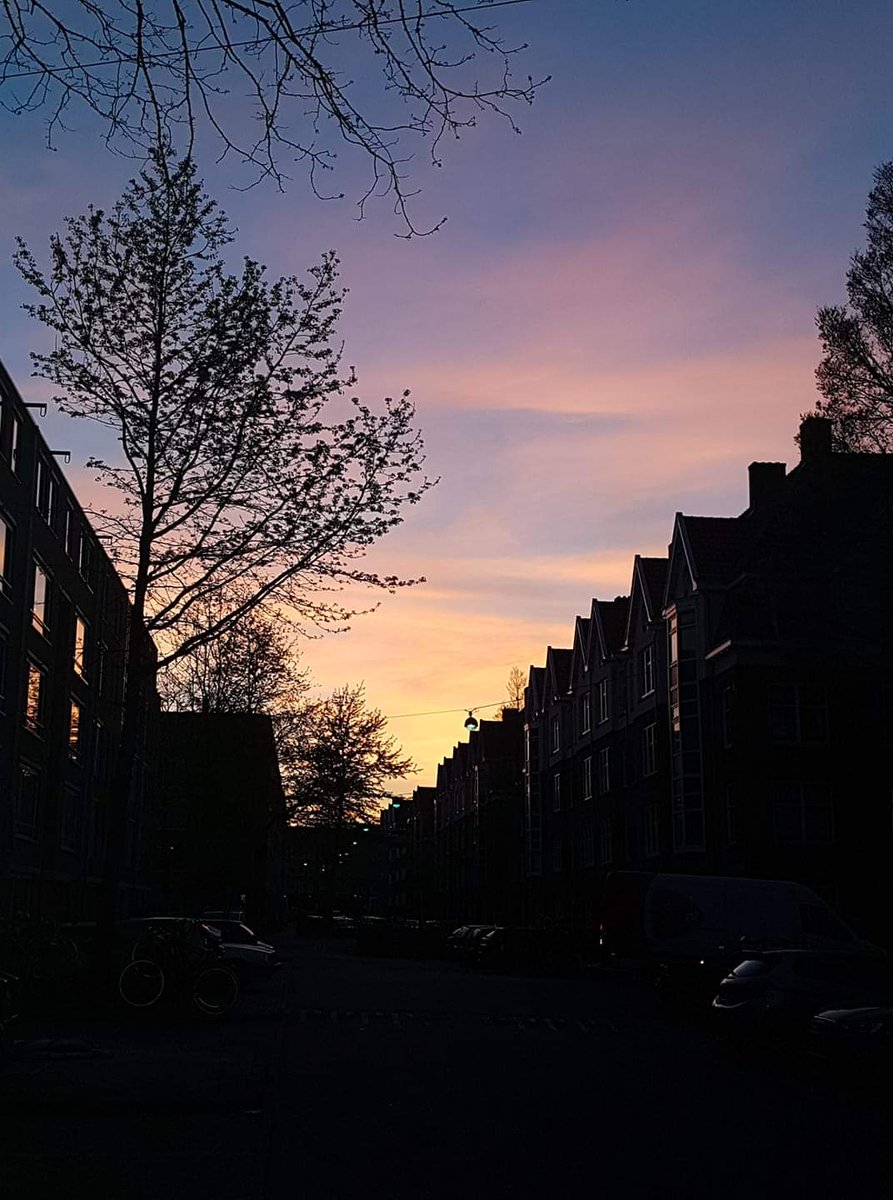 PrinsesChrissie's tweet image. Tis trouwens weer belachelijk mooi buiten 😍 #Amsterdam #Spaarndammerbuurt