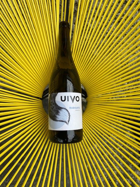 savioselections's tweet photo. And now...some new Folias de Baco wines! #rabigato #loureirovinhoverde #vinhoverde @vinhoverdewines https://t.co/umyd06QrHb