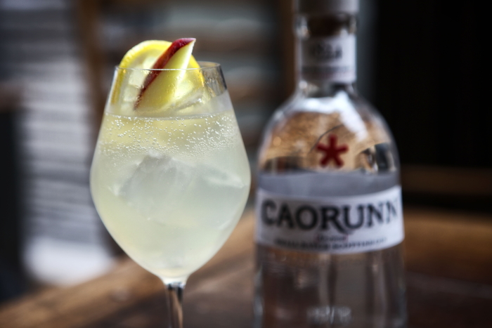 TravelDistilled's tweet photo. Travel Distilled publishes several Caorunn Gin Cocktails including the simple and simply delicious perfect serve with tonic and red apple slices. https://t.co/lbe9KeuBHW https://t.co/XoArbI4Vrj