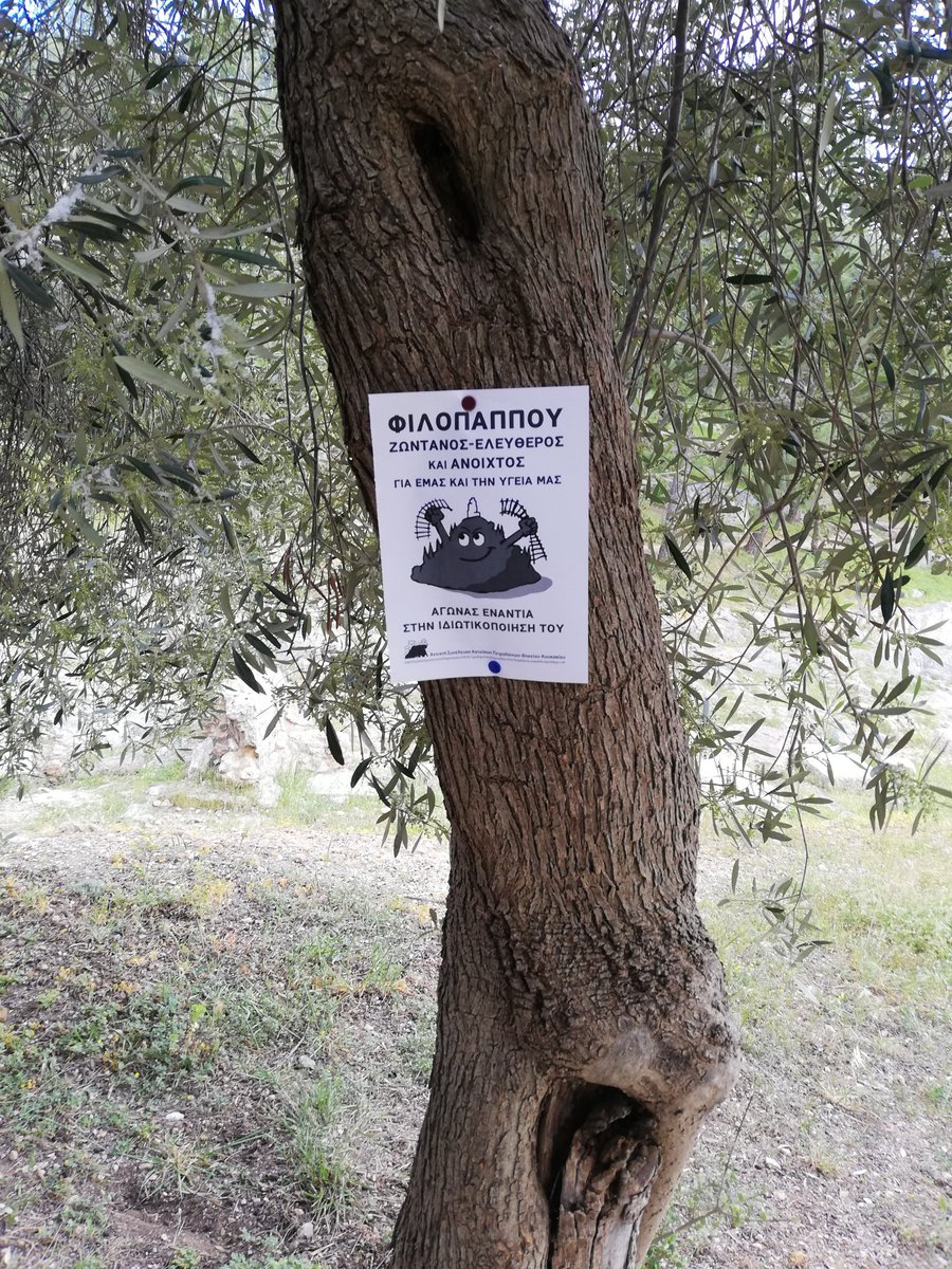 giouverlious's tweet photo. Φιλοπάππου Ζωντανός-Ελεύθερος και Ανοιχτός για εμάς και την υγεία μας!Αγώνας ενάντια στην ιδιωτικοποίηση του! #pikpa #filopappou #antireport #askptk #petralona https://t.co/Xh8cdkHFJz
