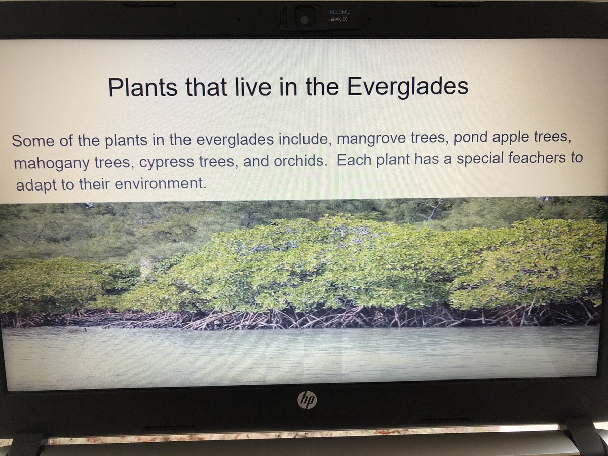 DTFourthGrade's tweet photo. Together even we are apart! Still connecting, learning, and sharing research about National Parks. 🌵#DTdaily https://t.co/jKxRsA0QVR