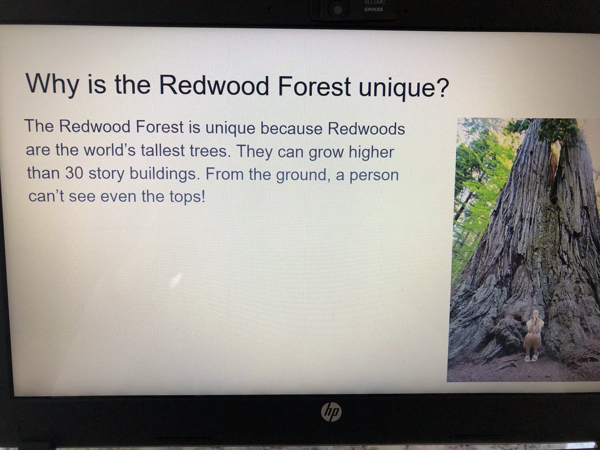 DTFourthGrade's tweet photo. Together even we are apart! Still connecting, learning, and sharing research about National Parks. 🌵#DTdaily https://t.co/jKxRsA0QVR
