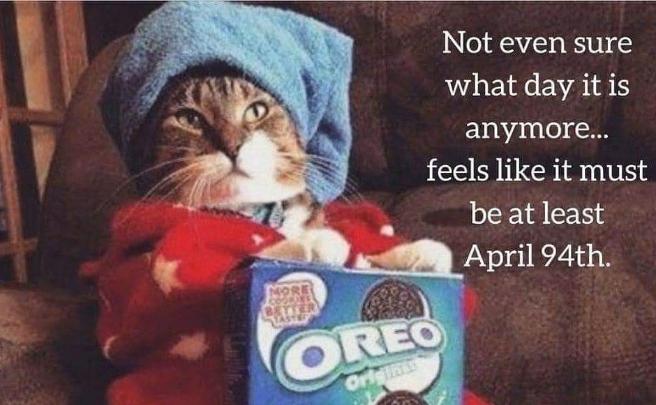Status update: 😅🤣
