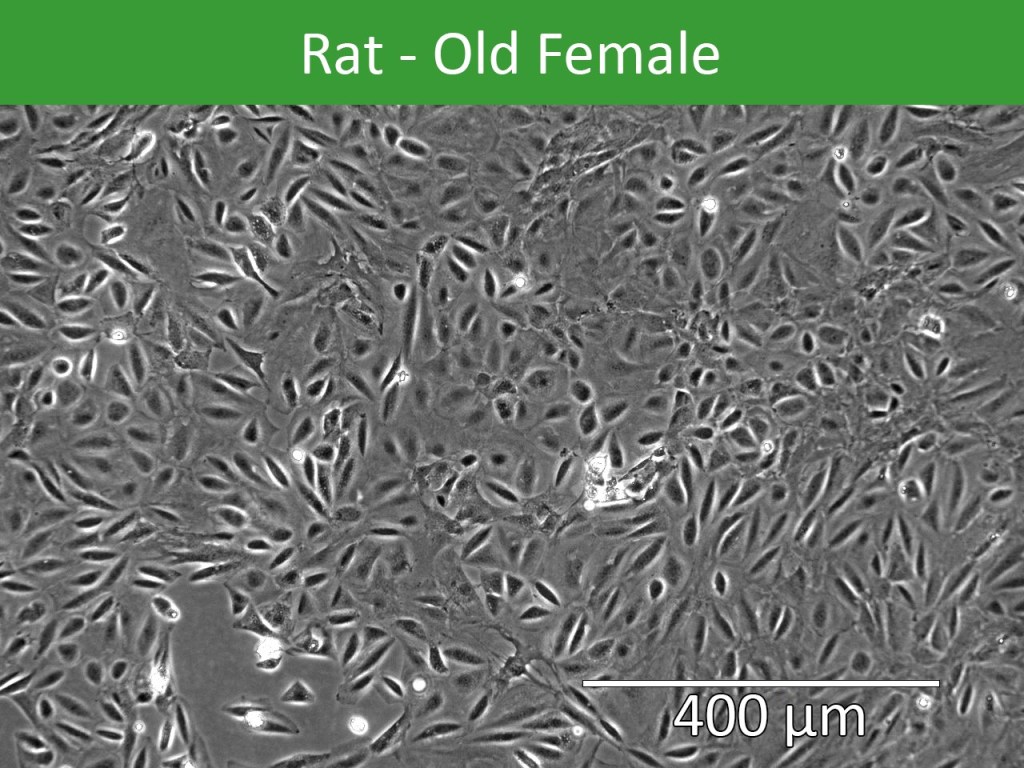 JangoBio tweet media