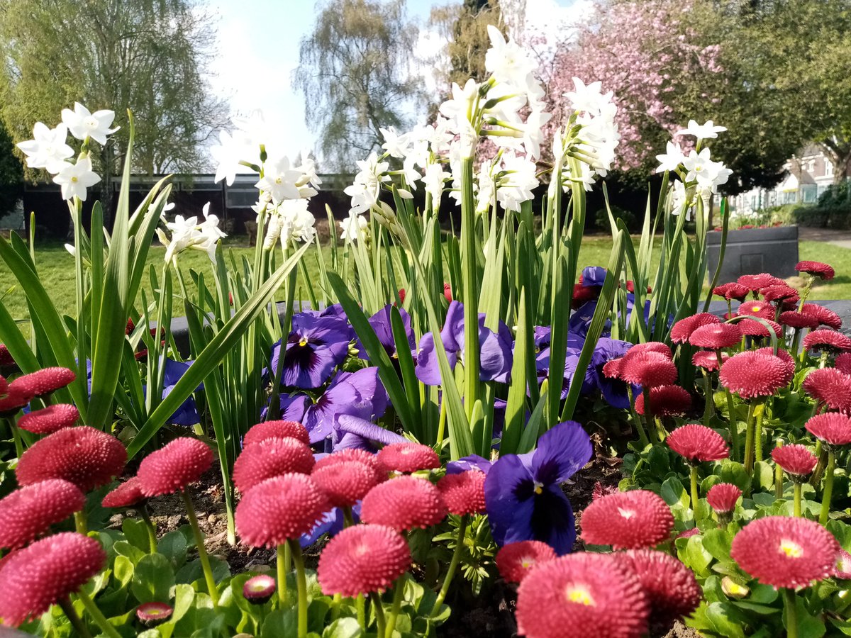 All those lovely flowers do give you a lift on your walk in the park. #Spring #StaySafeStayHealthy #Sheffield #firthpark