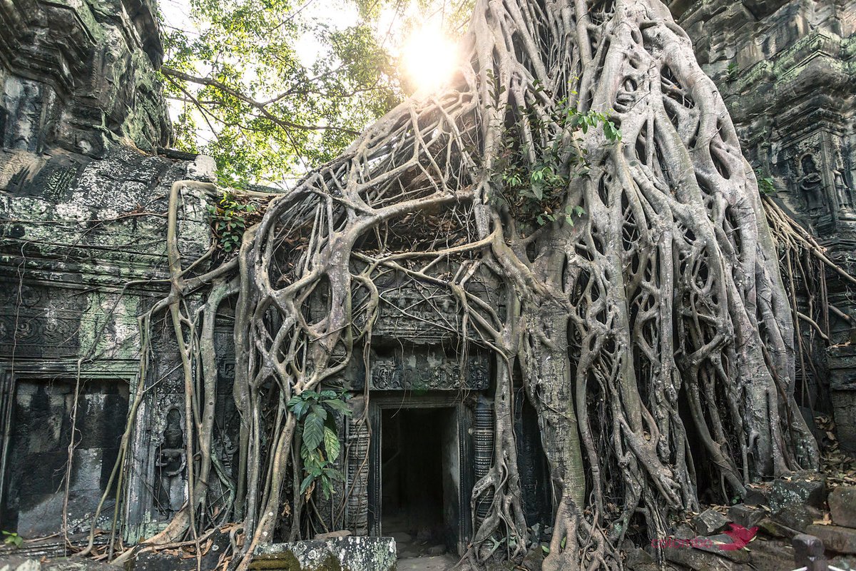 partie de l& #39;ASE, recouvrant l& #39;actuel Cambodge et une bonne partie de la Thaïlande, du Vietnam et du Laos. Vous avez sûrement déjà vu des images d& #39;Ankor Wat, le temple gigantesque qui faisait lui-même partie de la mégalopole médievale d& #39;Angkor, cité gigantesque considérée comme