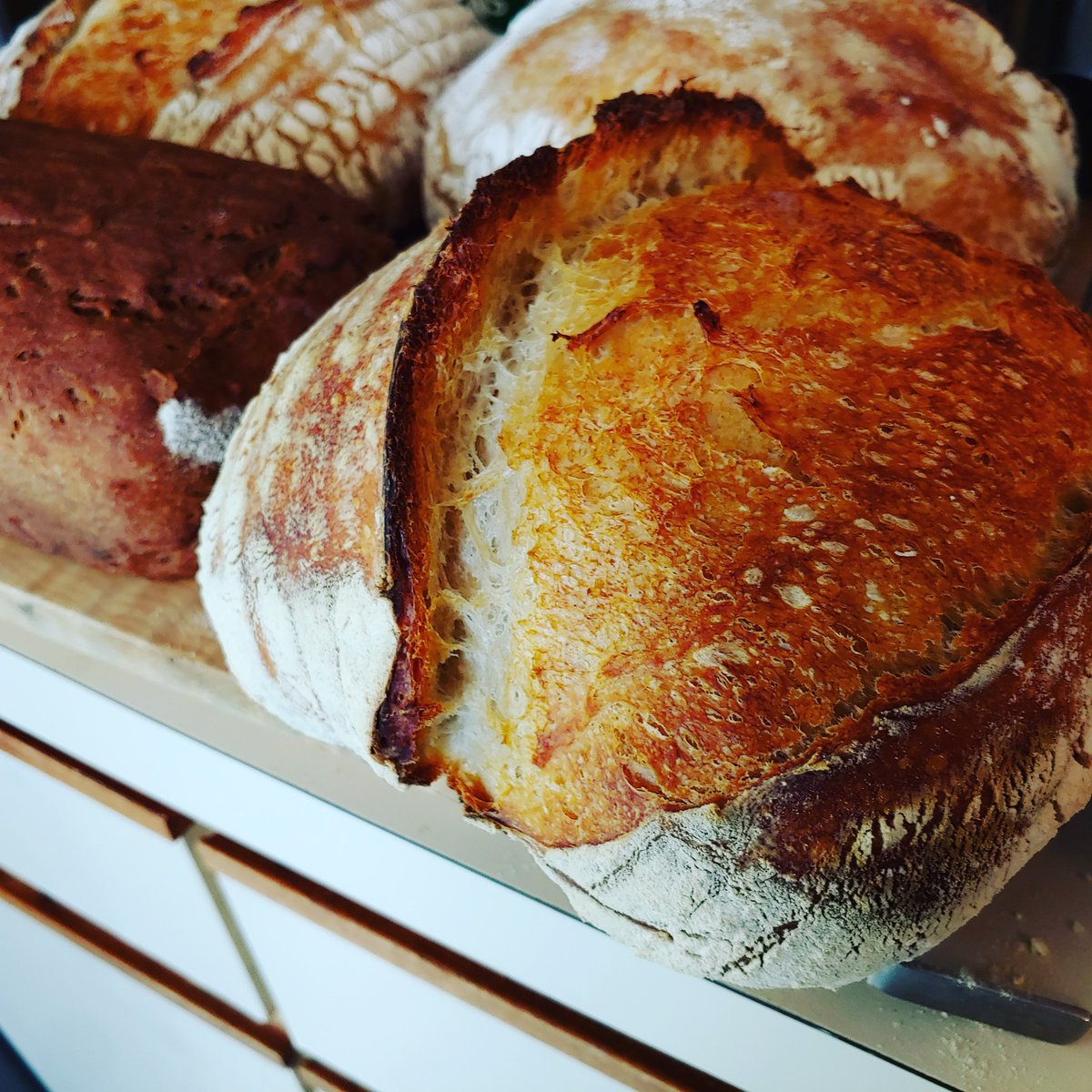 Makin' the bread. It's about as simple as recipes can get. Flour, salt and tap water.