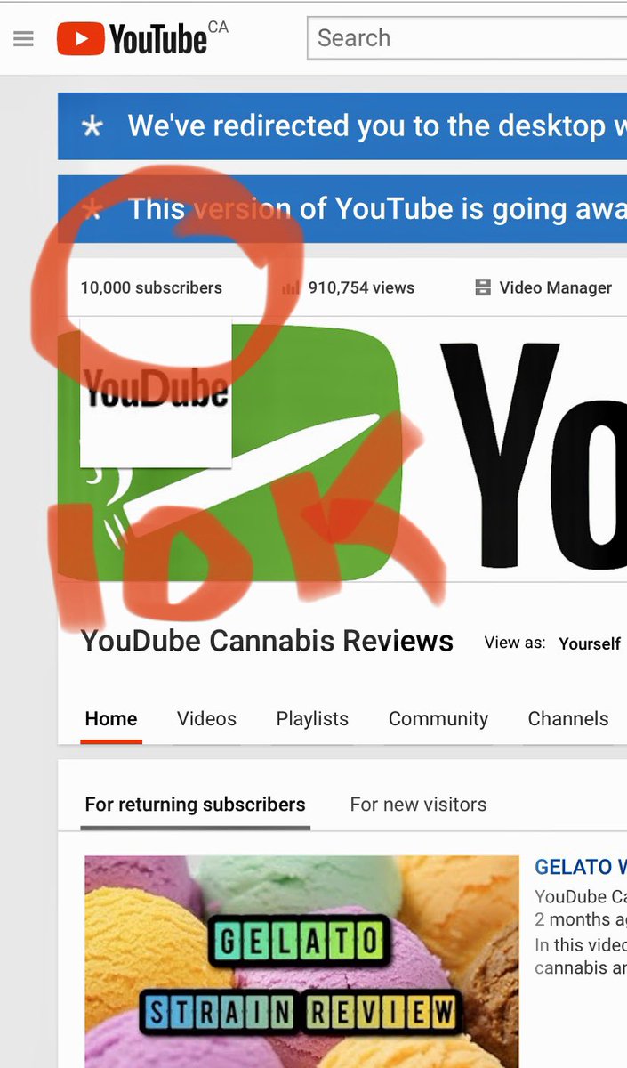 I just hit 10,000 subscribers on YouTube! Thank you to all my viewers and subscribers, you’re the best! #weedtube #weedtuber #weedtubers #weed #cannabis