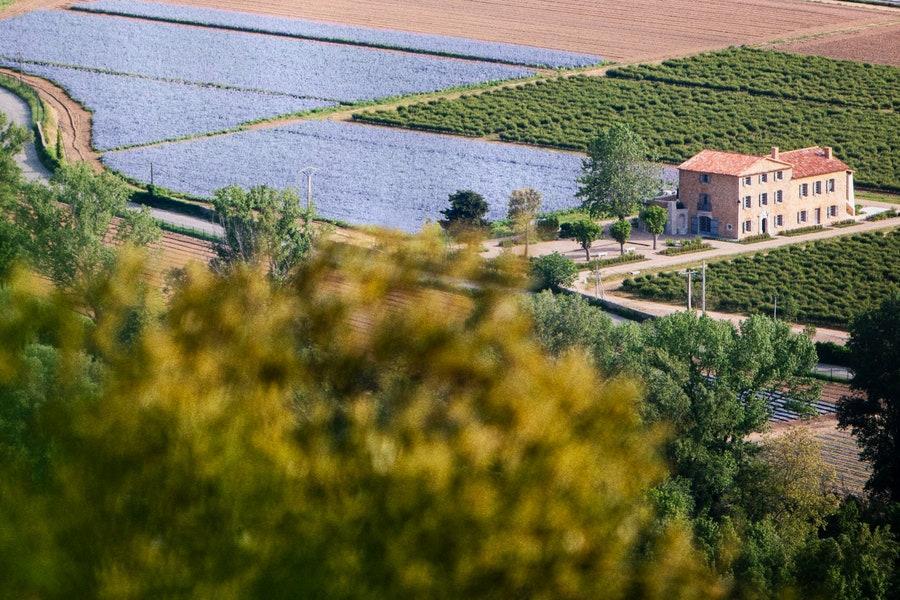 VogueFrance's tweet photo. Escape to the breathtaking flower fields of Grasse, where Chanel harvests neroli, rose, iris, jasmine and more for its most iconic fragrances
--> https://t.co/qx4iHzOrev

© Chanel https://t.co/3tN8VvZsg4