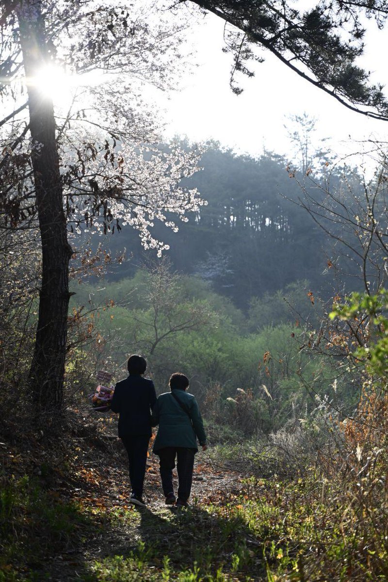 양향자 tweet media