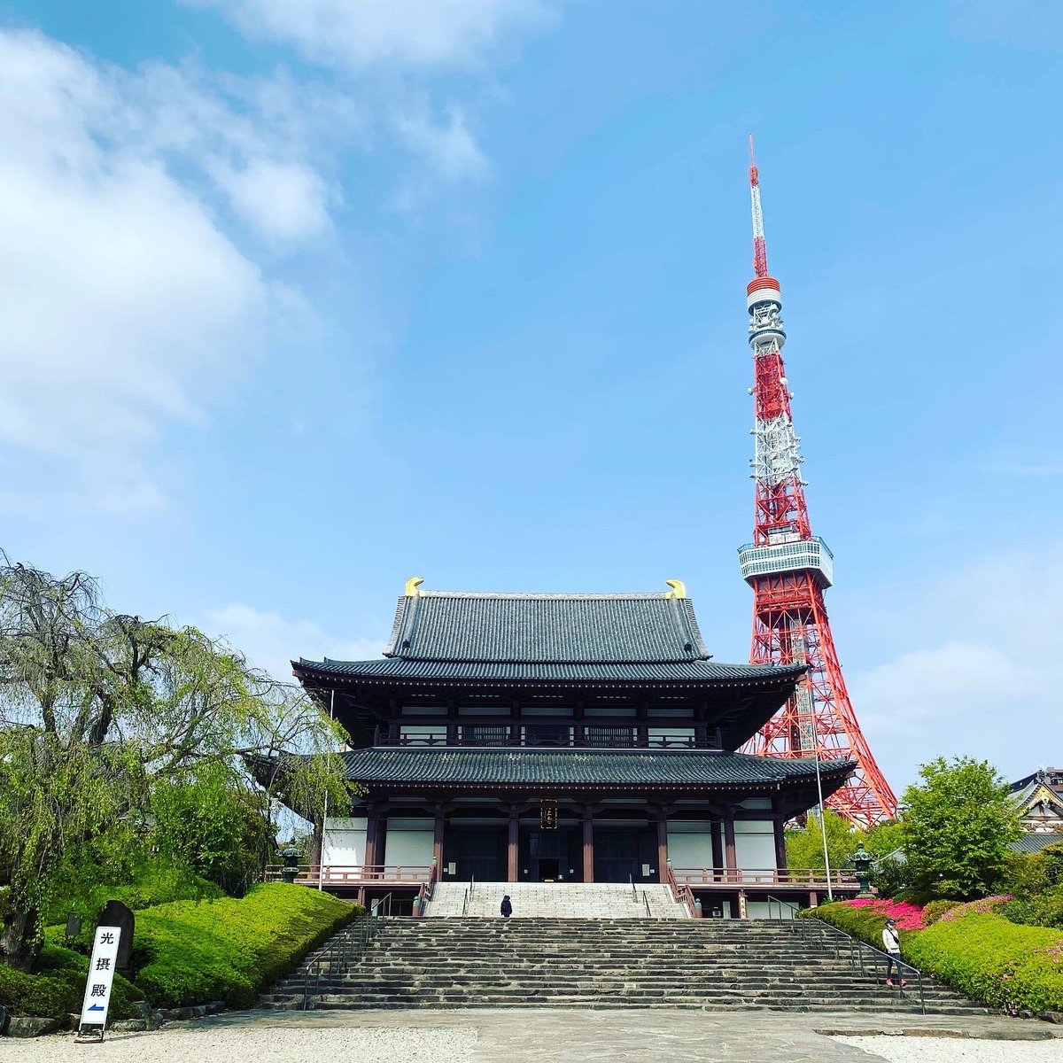 すずきあつこ 行動促進研究家 組織開発コンサルタント ビジネスコーチ V Twitter 久しぶりに朝ラン 芝公園の増上寺まで 新橋 浜松町 田町あたりは朝の出勤で人が動いるね