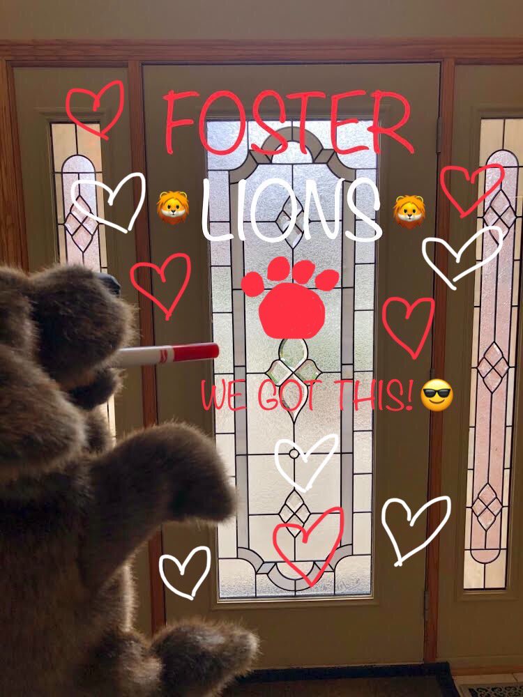 missplanera's tweet photo. My Foster door challenge 🚪🦁 p.s. can you see Mr. Puppy helping me decorate?! #secondstep #socialemotionallearning #fosterpride #engage142 #fosterlions @FosterLions @ForestRidge142 @2ndStepProgram https://t.co/fkSGe0vniQ