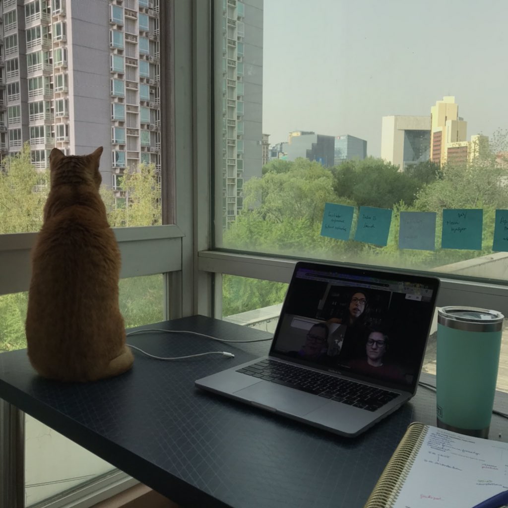 MmeLayman's tweet image. The @EduroLearning team has a guest co-worker today! #edurokittens #edurolearning