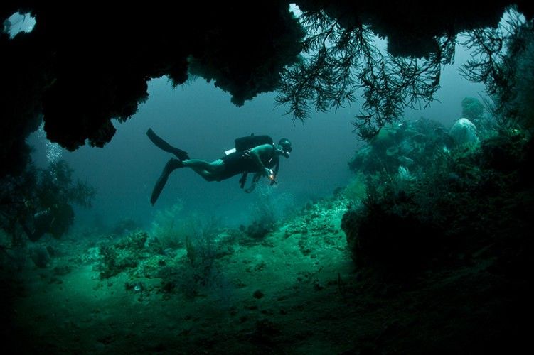 gogonesia's tweet photo. Alor menjadi impian dari pecinta selam di dunia dan waktu terbaik untuk menyelami pulau Alor antara bulan Mei – Juli karena ombaknya yang lebih tenang
https://t.co/guNdMg6lfG

#alor #alordive #wisataalor https://t.co/vWlSBP850h