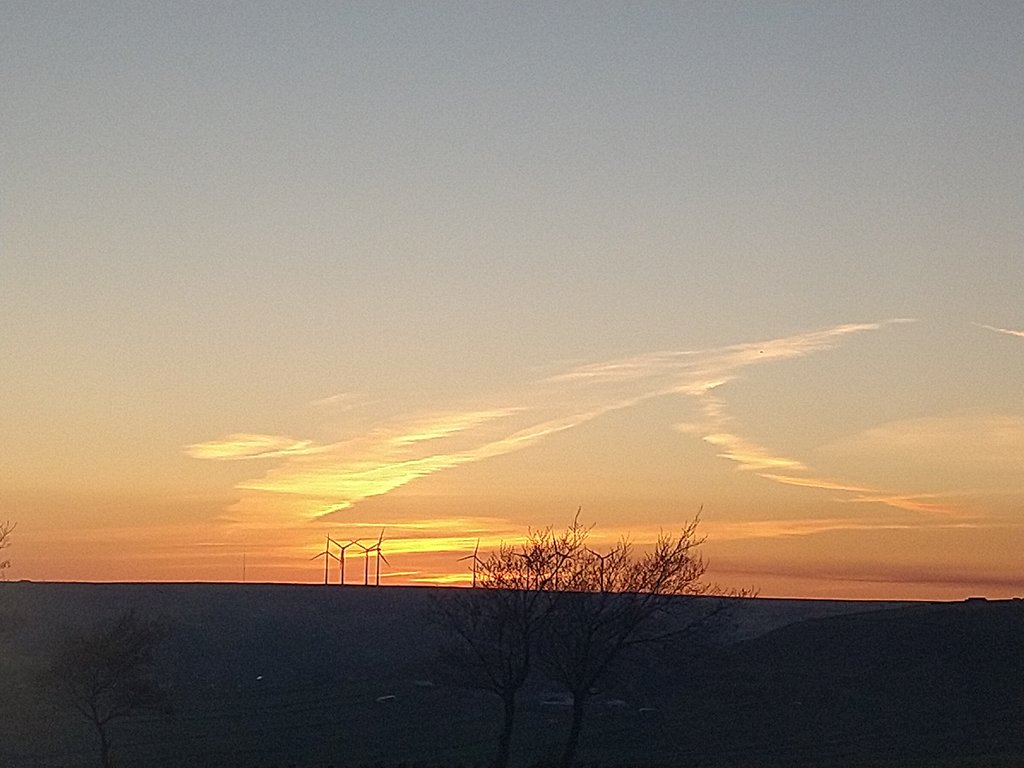 stuart murray tweet media