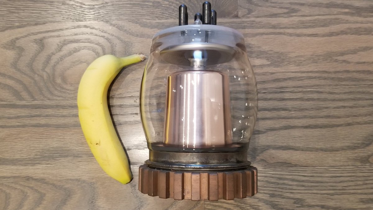 GammaCounter's tweet photo. (Sorry, I forgot to show the size. Here it is alongside an average inorganic banana.) https://t.co/ziEHebTJVq