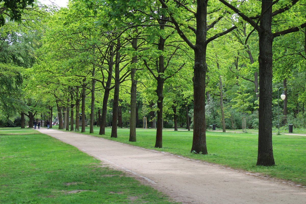 Parks will be an advantage for post-#COVID19 destination marketing - use has risen b/c most offer enough space to provide outdoor activities while still maintaining a responsible #socialdistance. 

Follow <a href="/DEVENEYMKTG/">DEVENEY</a> for top implications of coronavirus on hospitality &amp; travel.