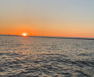 David Staal tweet media