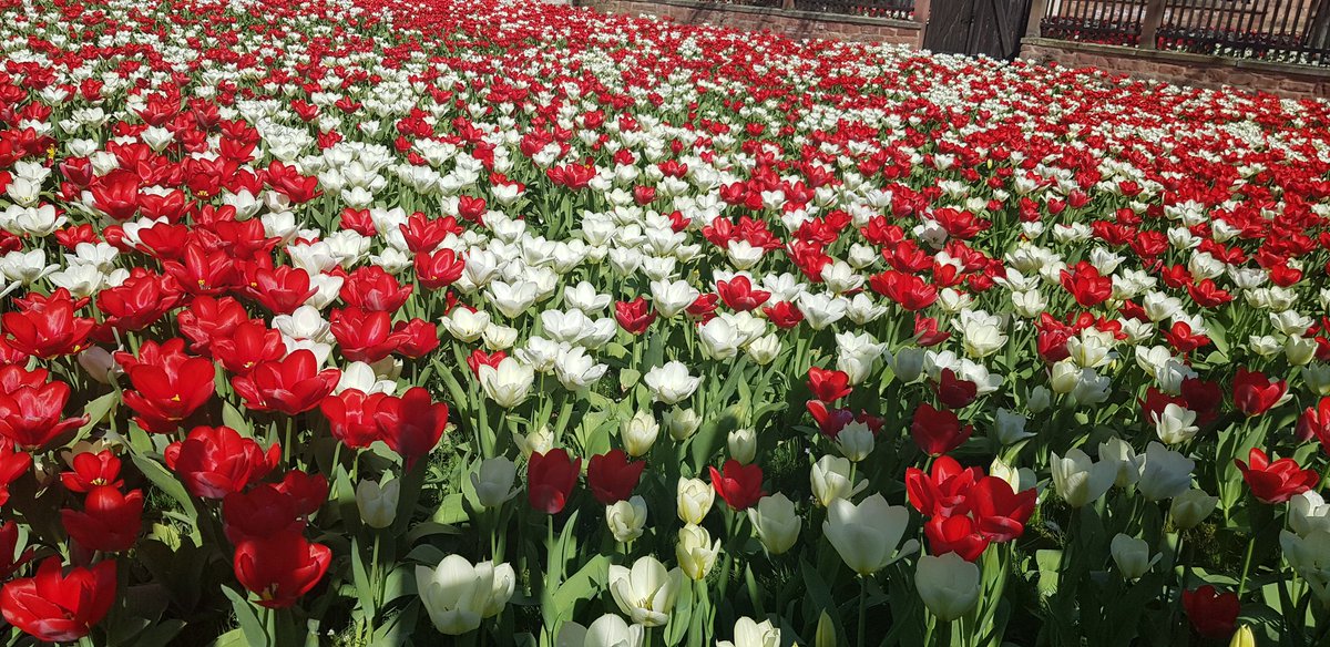 Mutluyken görmezden geldiğin şeyler mutsuzken canını yakar. "Çünkü insan hatalarını mutluyken değil, hep mutsuzken anlar". 
Anton Çehov