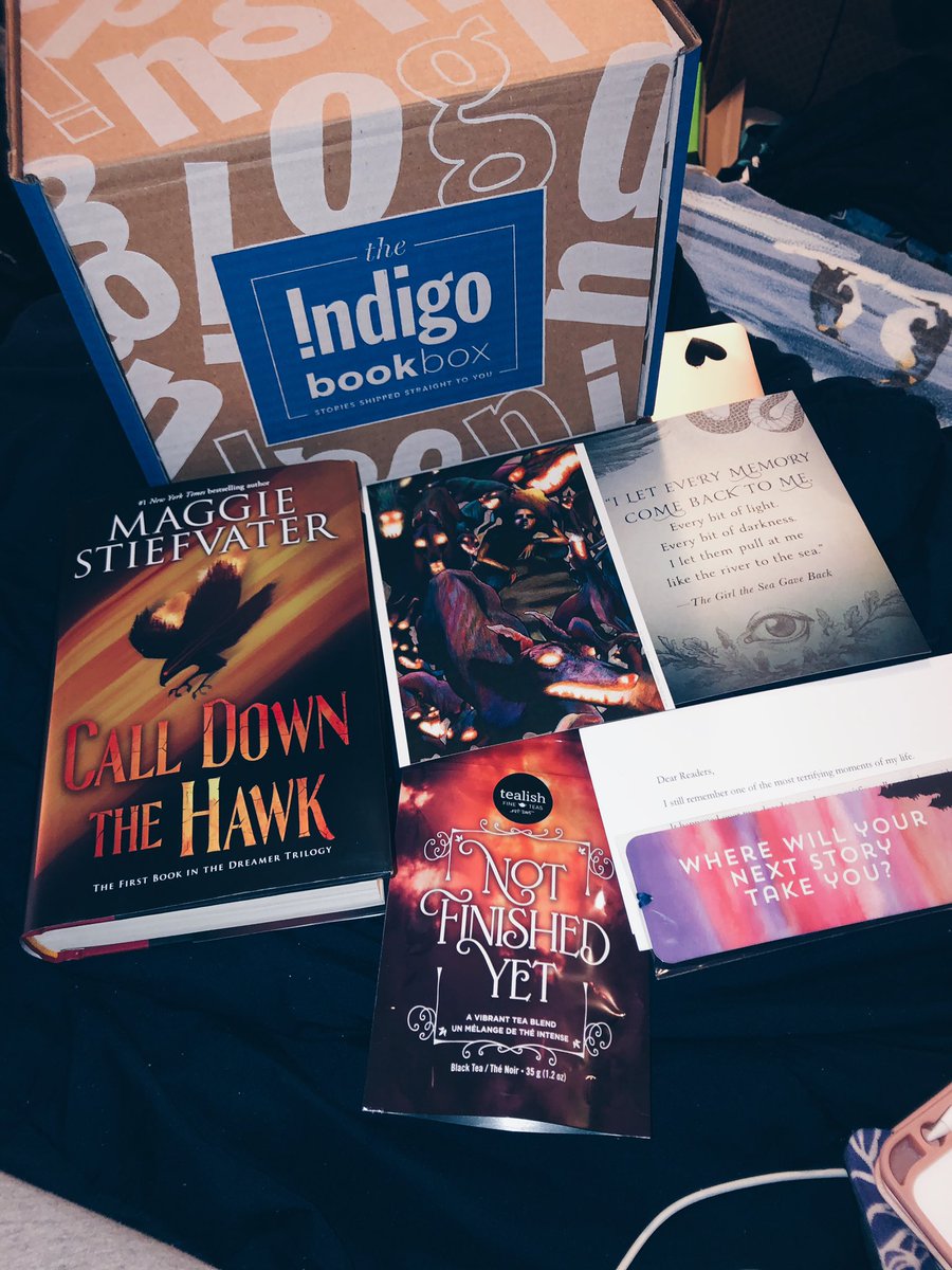 BBBblogCA's tweet photo. Popped on the @chaptersindigo website last week to send a belated birthday present to my mom...
...who’s shocked that I also caved and finally got one of these @IndigoTeen boxes for myself?🙊🙈#NotISaidTheCat
#IndigoBookBox https://t.co/90Gv1NNqXc