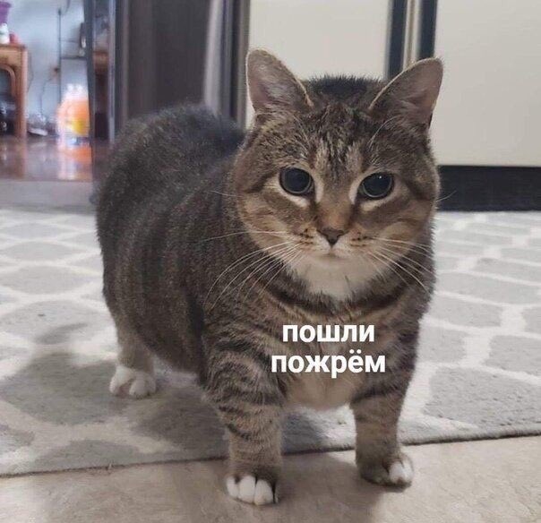 Соня💞 (@sbrauver) on Twitter photo 