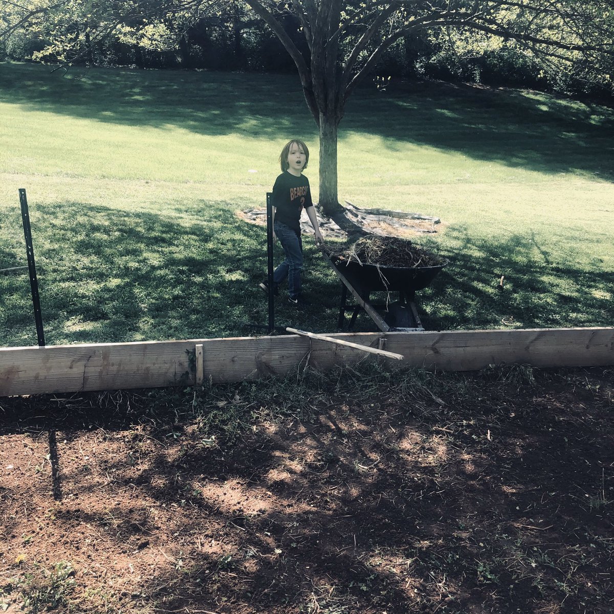 ShellieTidball's tweet photo. Tilled the garden with my Christmas present! While working in the garden we talked about seeing a butterfly- or was it?! And why worms are good for our garden! #firstgradelearning #readinglessons #realworld @elementarywithB https://t.co/LScm7fJPzz