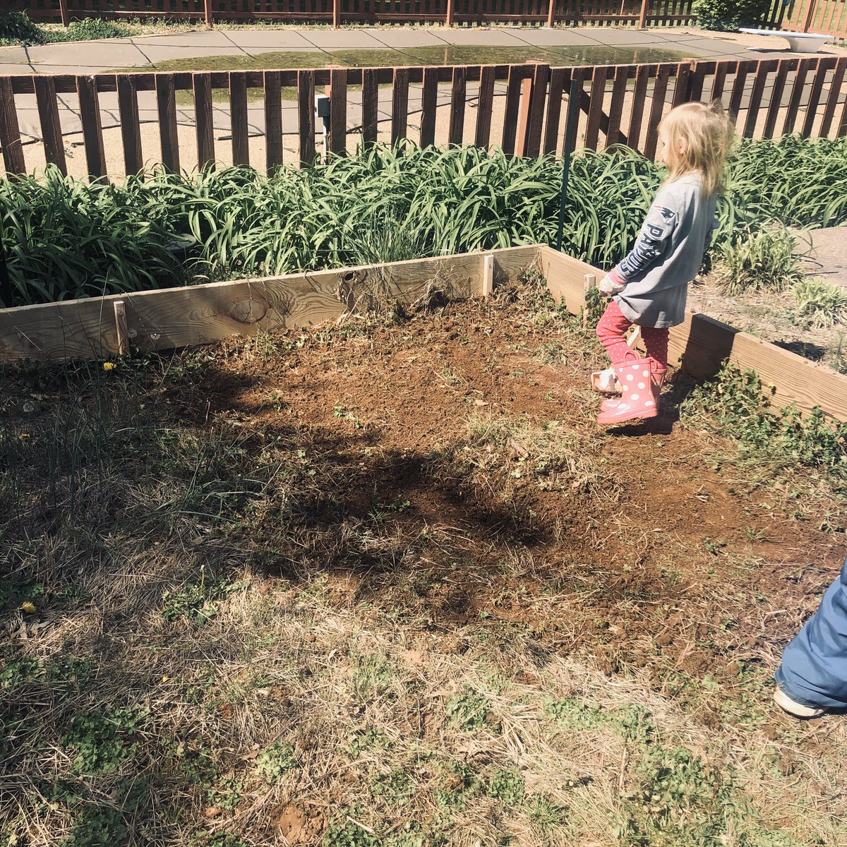 ShellieTidball's tweet photo. Tilled the garden with my Christmas present! While working in the garden we talked about seeing a butterfly- or was it?! And why worms are good for our garden! #firstgradelearning #readinglessons #realworld @elementarywithB https://t.co/LScm7fJPzz