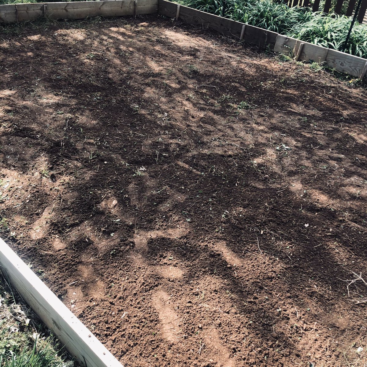 ShellieTidball's tweet photo. Tilled the garden with my Christmas present! While working in the garden we talked about seeing a butterfly- or was it?! And why worms are good for our garden! #firstgradelearning #readinglessons #realworld @elementarywithB https://t.co/LScm7fJPzz