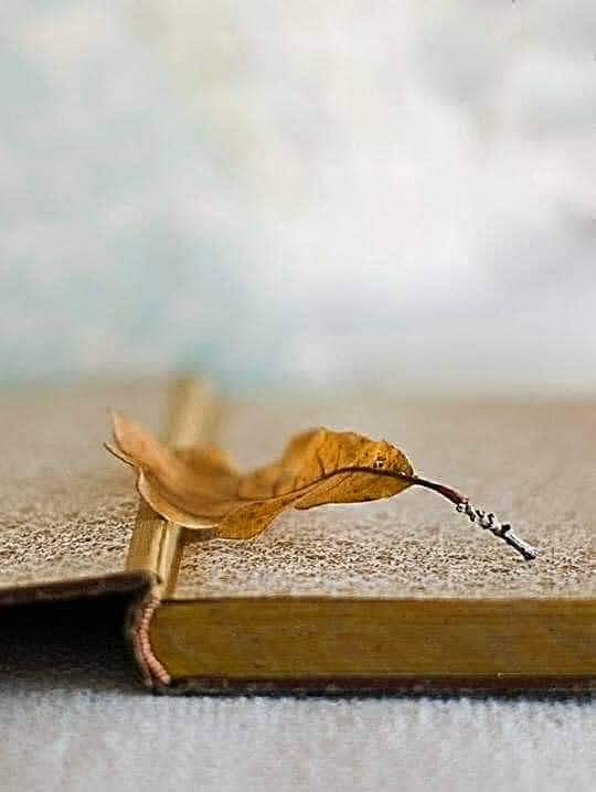 Sen beni anladikca yanildin.Ben seni sen yanildikca tanidim...... .......