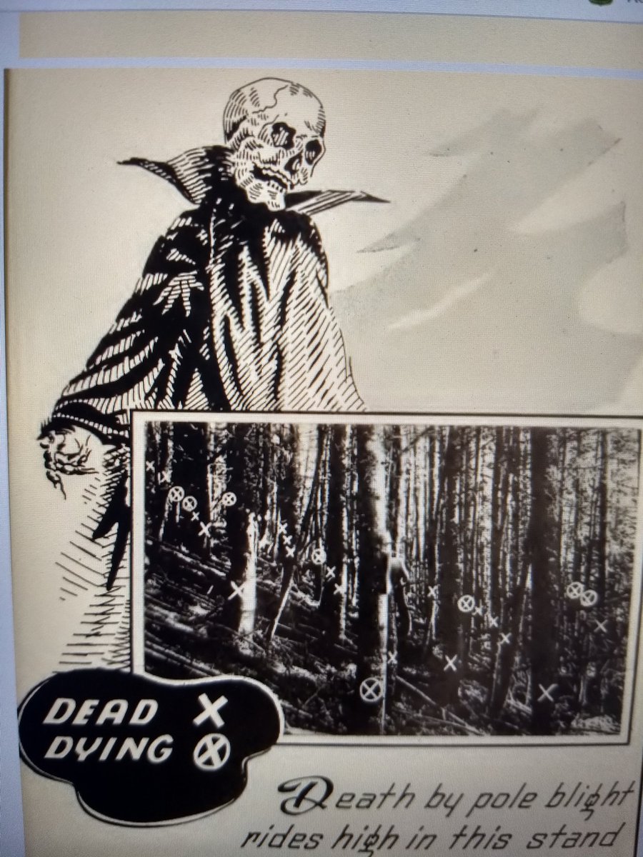 If anyone needs a little lightness to their day, this 1940s #ForestDisease report made my day. #HorrorMovie meets #ForestHealth in this report. Now if all literature could be so engaging and informative!