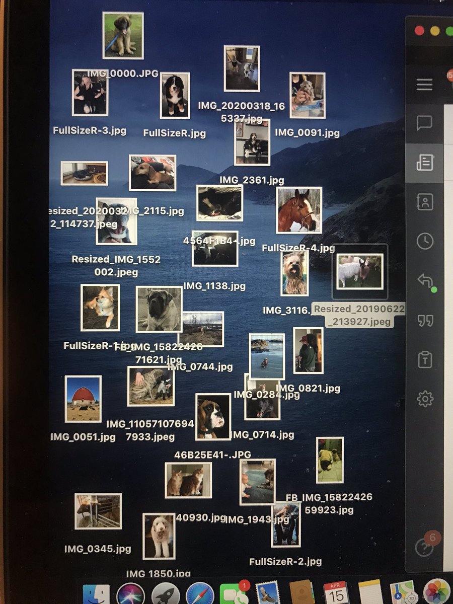 I’m happy to tell you I’ve managed to narrow the list down to...thirty.  #CHEDNation loves its animals! I’ve got some difficult (and totally subjective) decisions to make. In a moment, I’ll present today’s Top Ten Pet Pics, as submitted by  @630CHED listeners.  #yegpets  #yegdogs