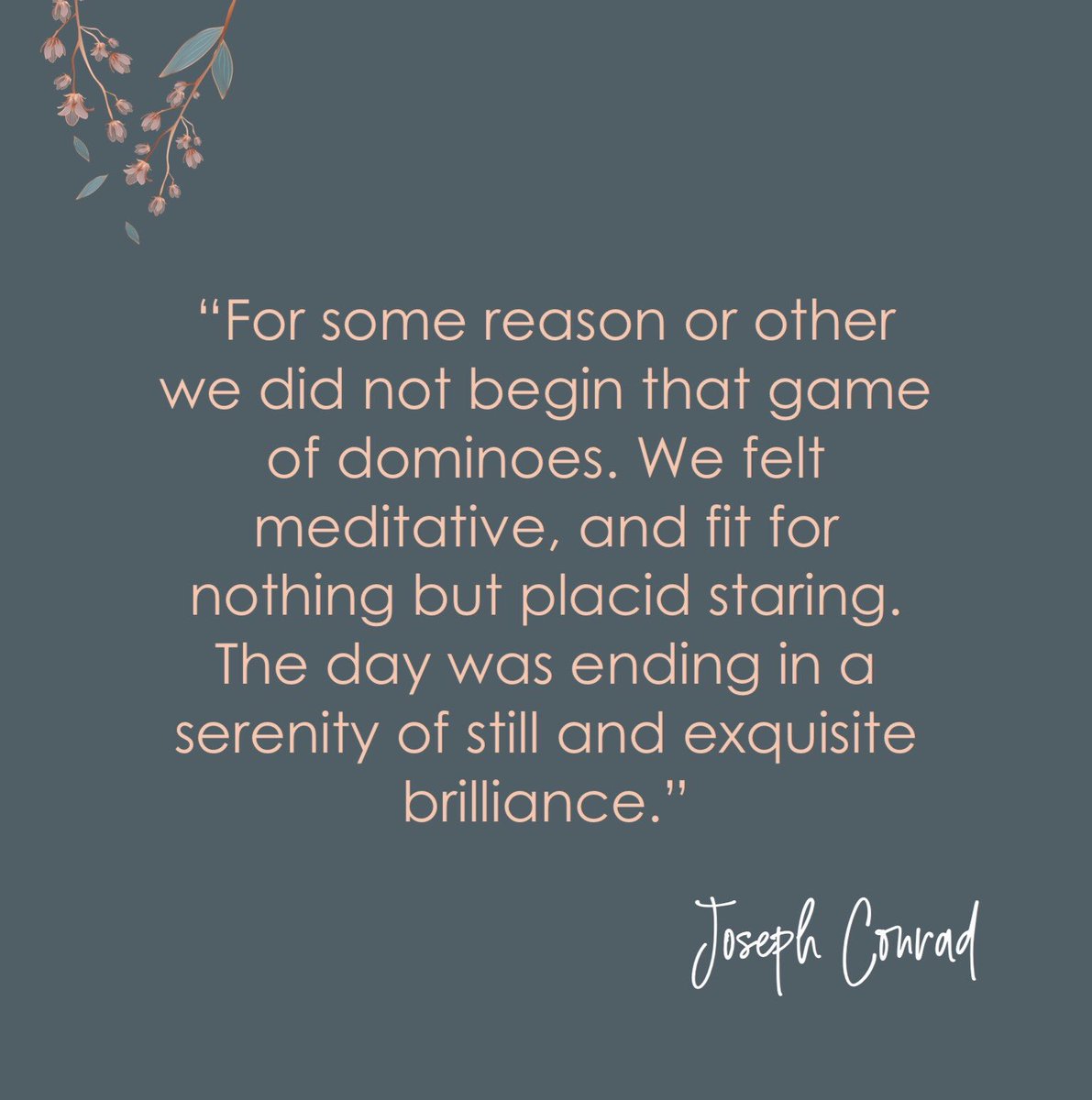 Teddy Zareva tweet media