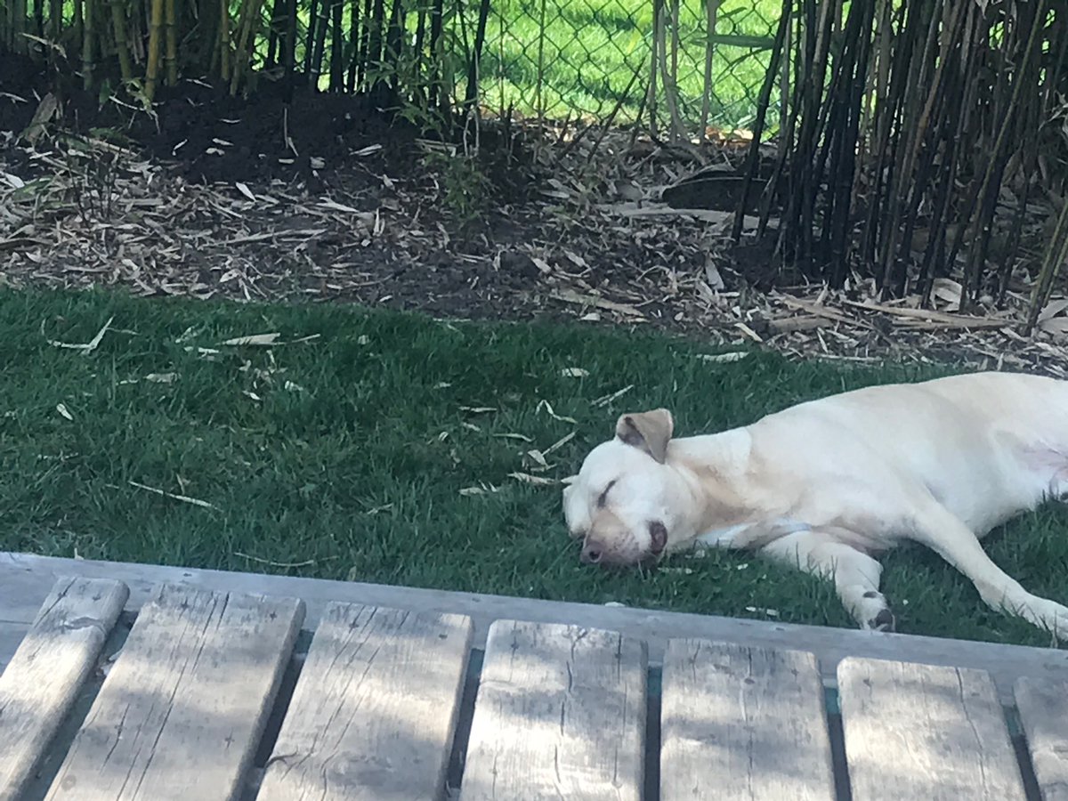 Sometimes it’s too hot on the deck