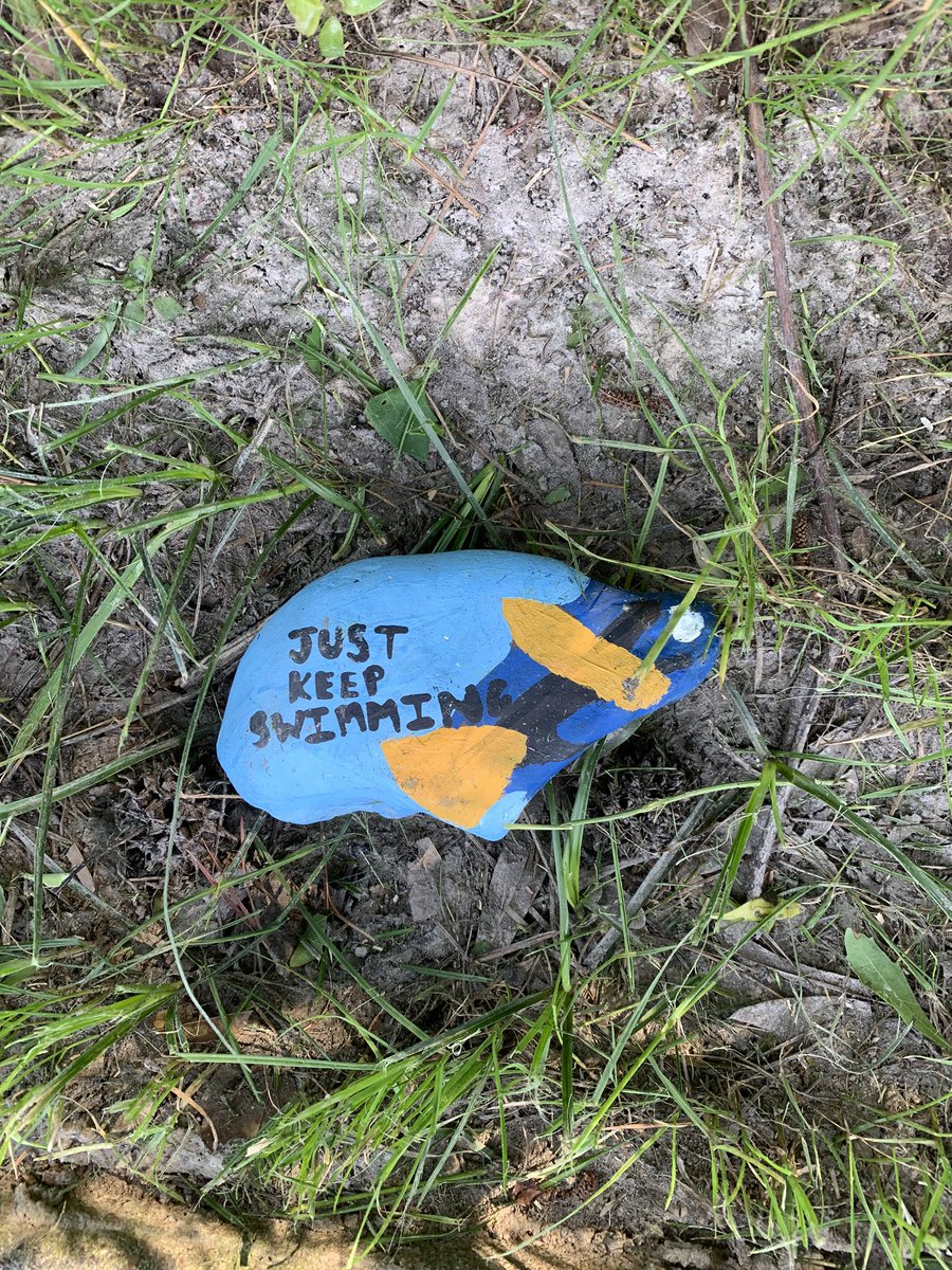 jaydlangley's tweet photo. Just like @ConroeISDSupt talked about the other night, we just found a rock in our neighborhood!!! @ConroeISD @CryarCats @KaufmanCougars https://t.co/gzy3ne6PDO