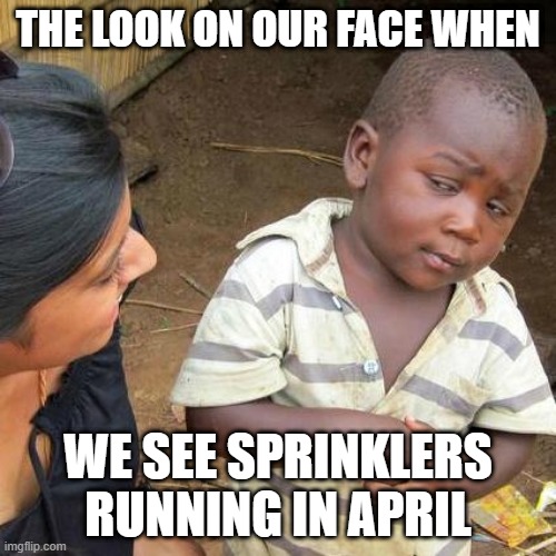 cicwcd's tweet photo. COVID-19 is getting us in the meme mood... but really, you don't need to worry about watering your lawn in April. Water is in the forecast, and the ground is still saturated from winter storms. 💦

#waterwednesday #waterwise #slowtheflow #spring #cicwcd https://t.co/g7iZ20s9K5