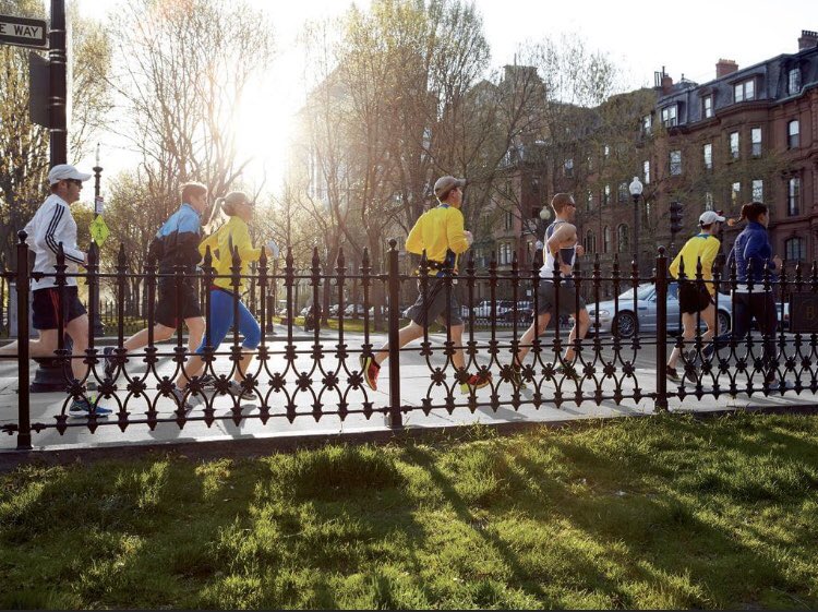 Zoom Multisport tweet media