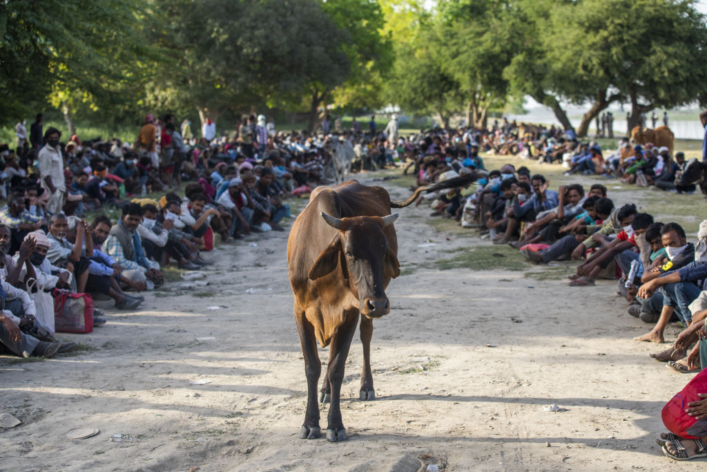 The immediate impact of Covid-19 is to dampen most forms of unrest, as both democratic and authoritarian governments force their populations into lockdowns.But tragedy and trauma will continue to build up until one way or another, they erupt  https://trib.al/Fcg0eNB 