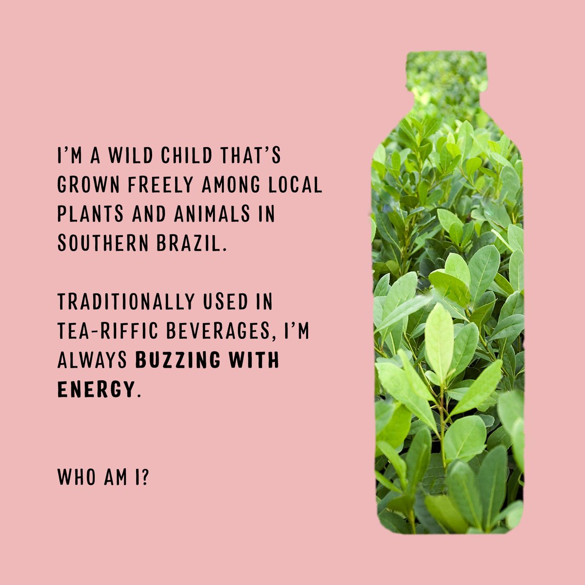 Leave your guesses down below 👇 #HappyPlanet